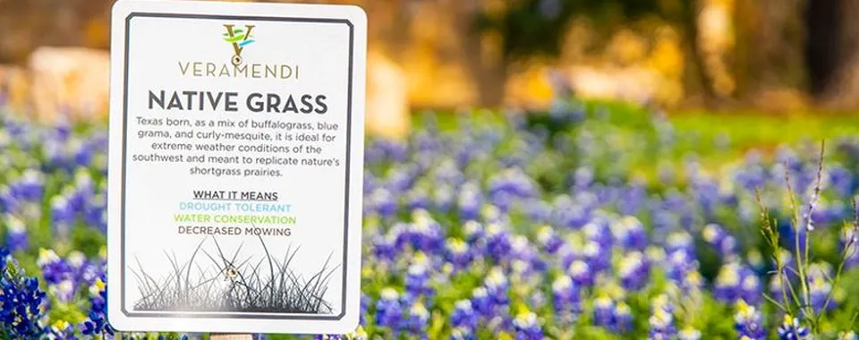 Explore New Braunfels and be apart of the Veramendi community experience