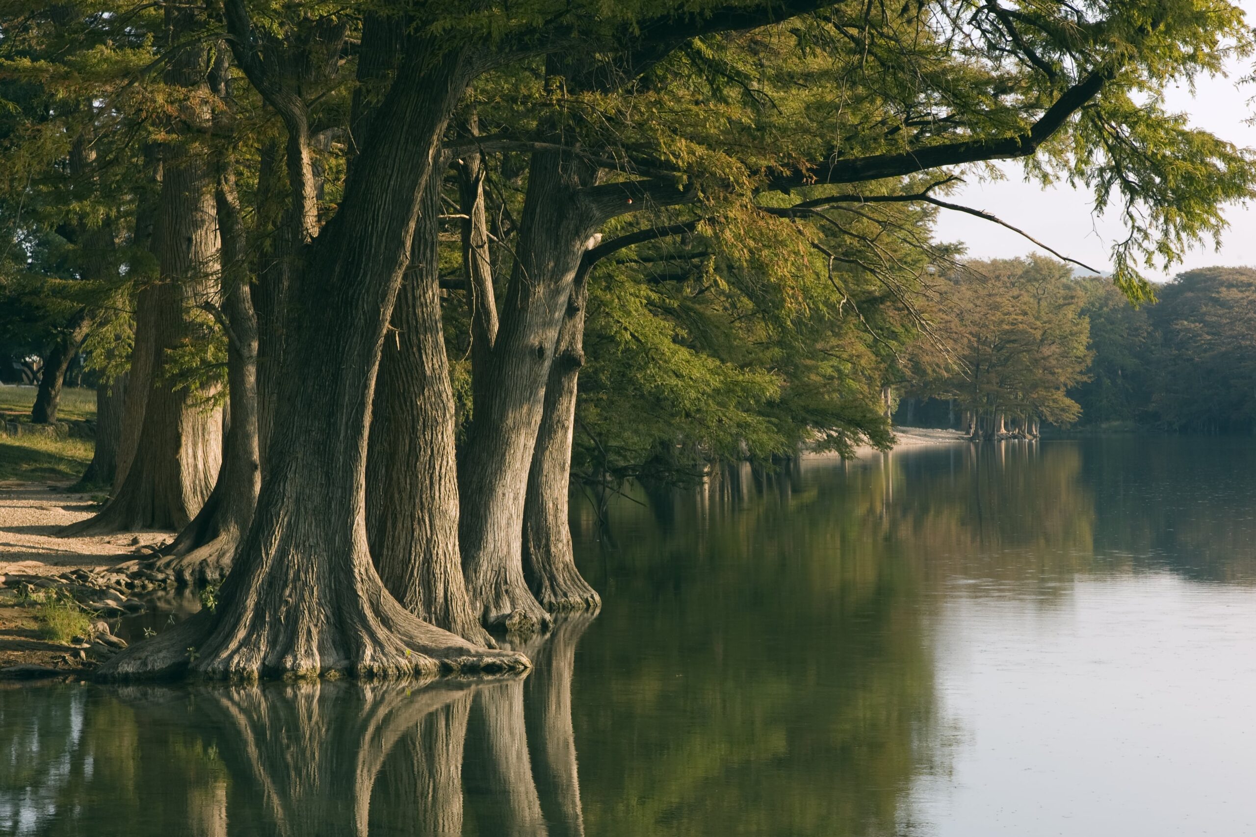 texas hill country