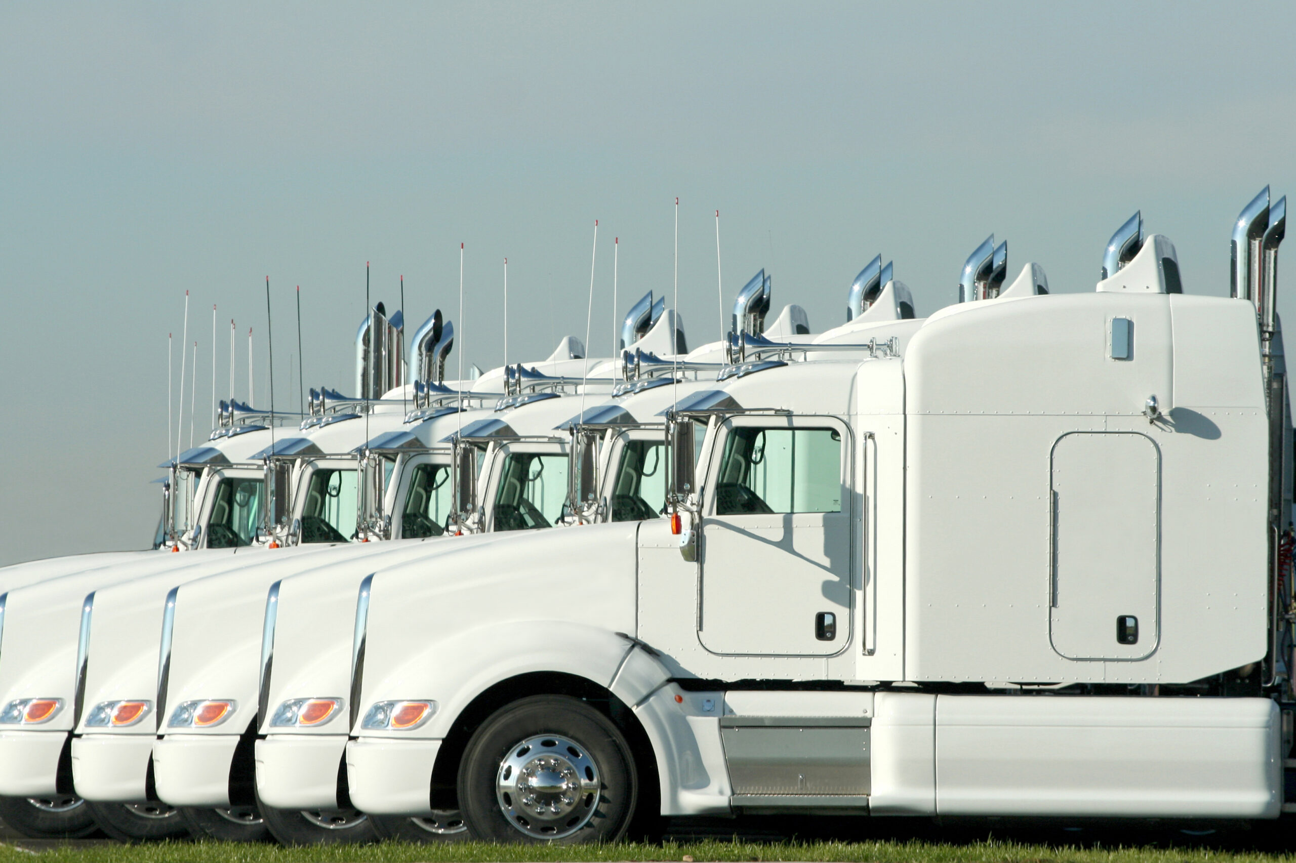 Six identical white semi trucks parked together